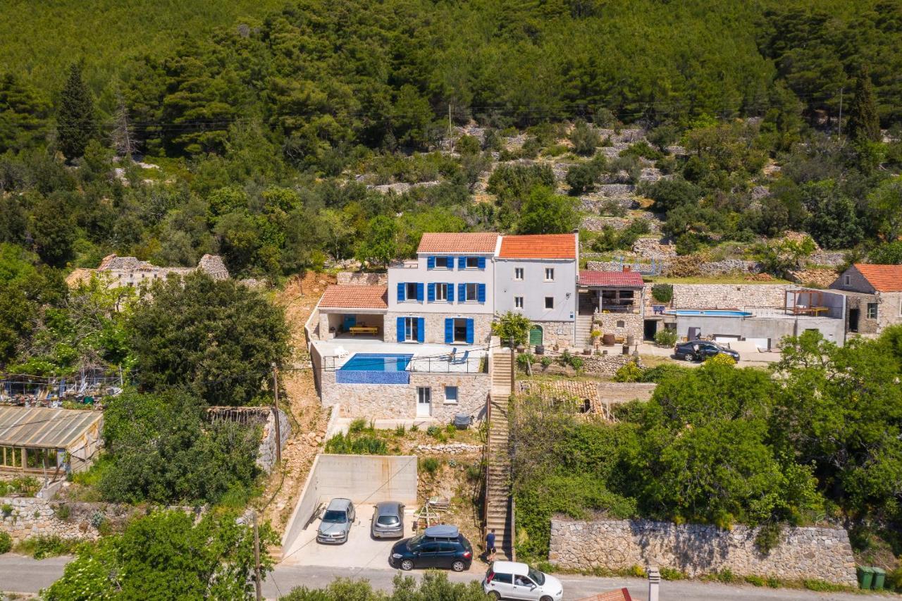 Villa Korta - Spacious House With Pool Babino Polje Extérieur photo